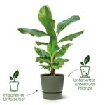 greenville rund 40cm living schwarz